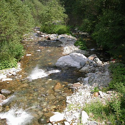 Bergbäche gehören zu den bedeutendsten Lebensräumen der Bachforelle in Südtirol